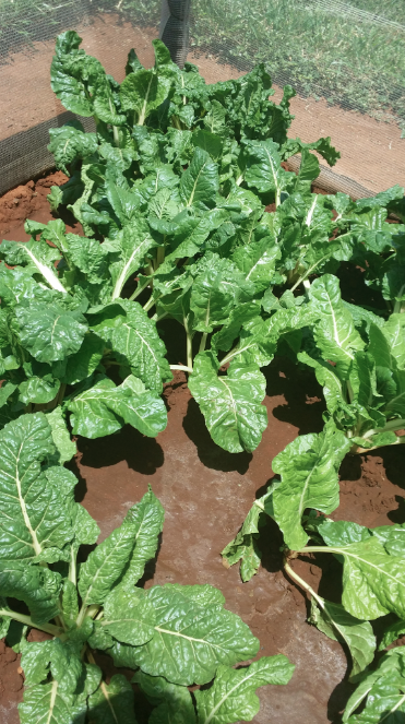 Screen Shot 2014-04-02 at 11.12.08 AM