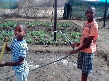 Tsibogang_Photos_docx_-_Google_Docs-2