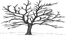treeunnamed