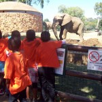 Sithandizingane Children, Brakpan, visit the Johannesburg Zoo