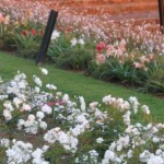 Blessed Gerard’s Care Centre, Mandini, Diocese of Eshowe