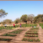 News from Tiyimiseleni in partnership with Savannah Lodge, Mpumalanga